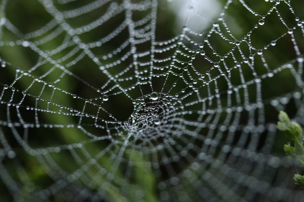 Interne linkstructuur oftewel een SEO spinnenweb