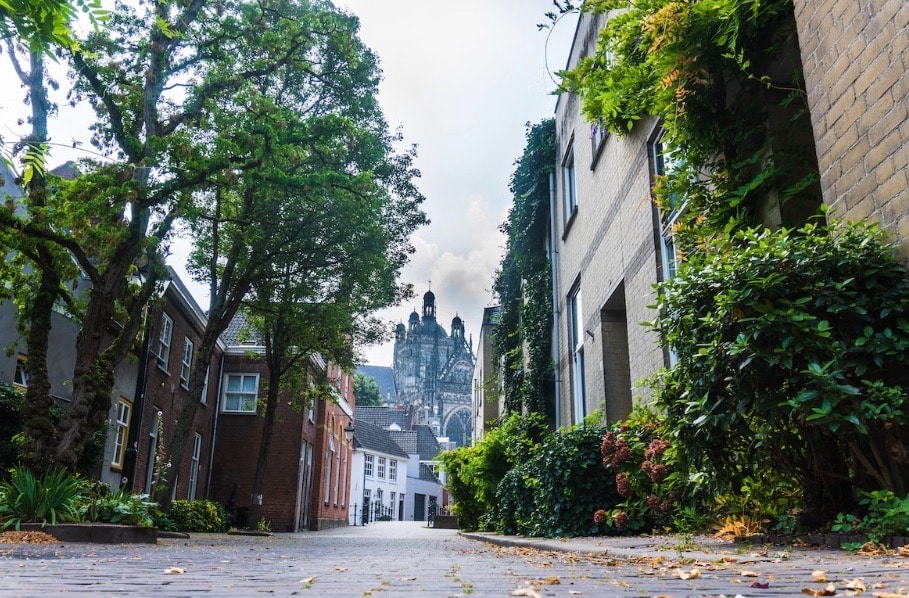 seo den bosch